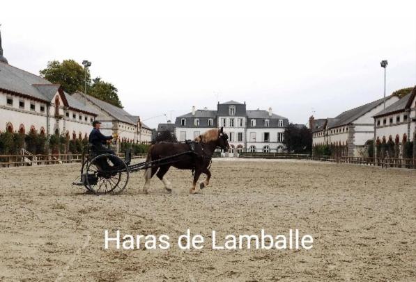 Perle Rare, Appartement Paisible Et Cosy Lamballe Eksteriør billede